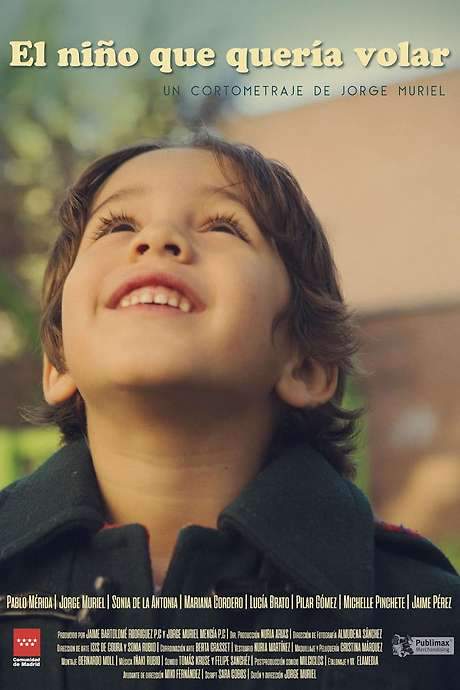 The Boy Who Wanted to Fly